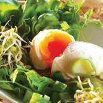 Pochiertes Ei mit Salat